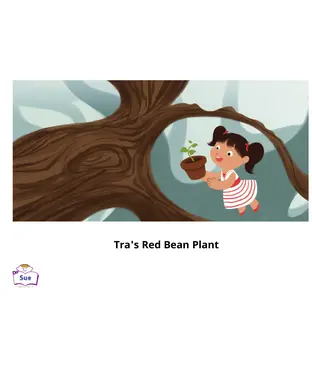 書封 Tra's Red Bean Plant